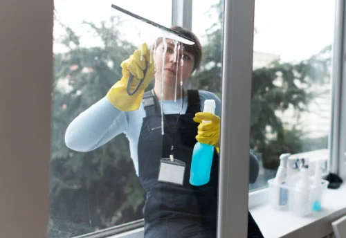 Nettoyage de vitres intérieures et extérieures à Froideterre